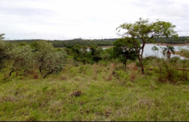 Terreno para venda em Arandu